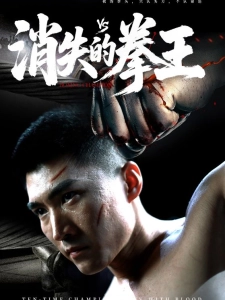 短剧消失的拳王海报