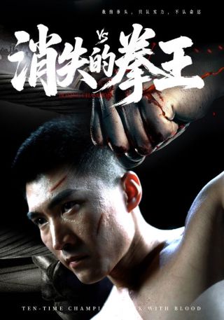 短剧消失的拳王海报