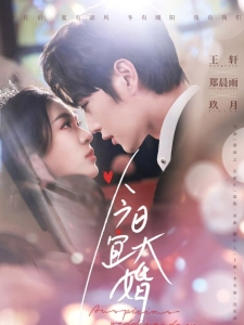 短剧今日宜大婚海报