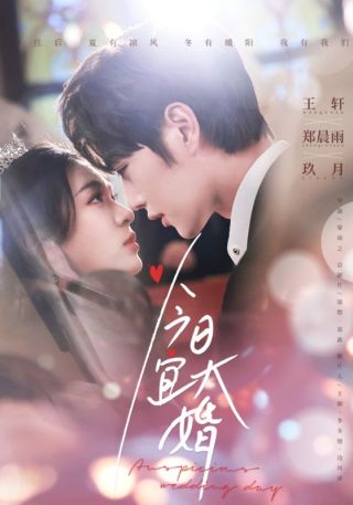 短剧今日宜大婚海报