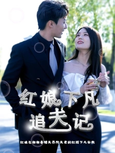 短剧红娘下凡追夫记海报