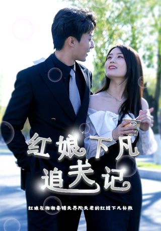 短剧红娘下凡追夫记海报