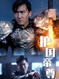 短剧护国帝尊海报