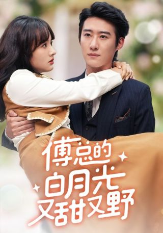 短剧傅总的白月光又甜又野海报