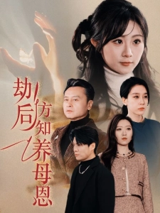 短剧劫后方知养母恩海报