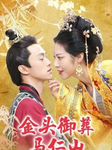 短剧金头御葬马仁山海报