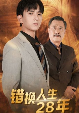 短剧错换人生28年海报