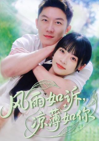 短剧风雨如诉，凉薄如你海报