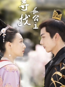 短剧寻找长公主海报