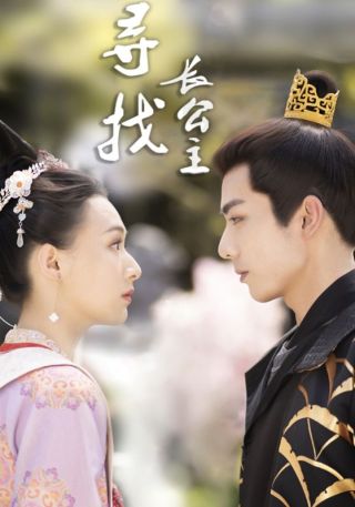 短剧寻找长公主海报