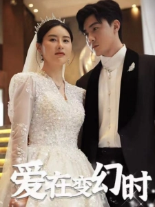 短剧爱在变幻时海报