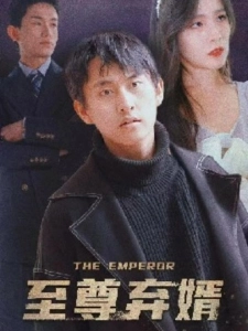 短剧至尊弃婿海报