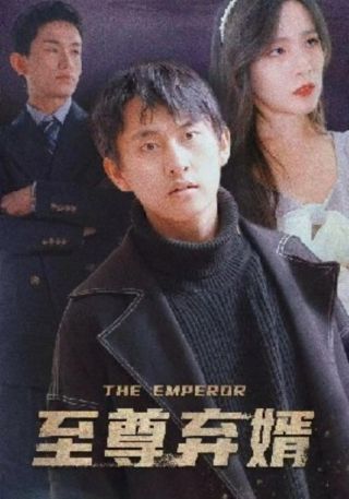 短剧至尊弃婿海报