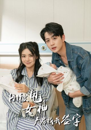 短剧刚被甩女神产房找我签字海报