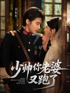 短剧少帅你老婆又跑了海报