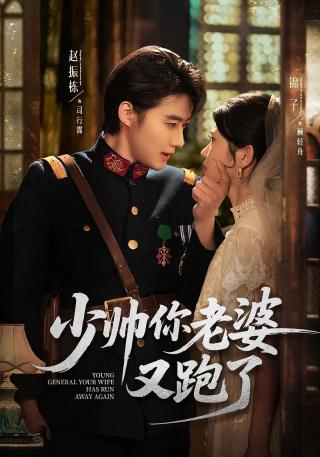 短剧少帅你老婆又跑了海报