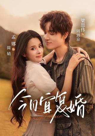 短剧今日宜复婚海报