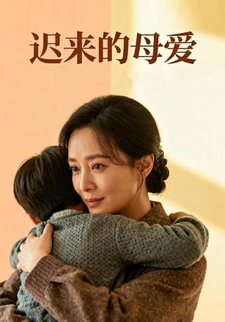 短剧迟来的母爱海报