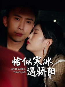 短剧恰似寒冰遇骄阳海报