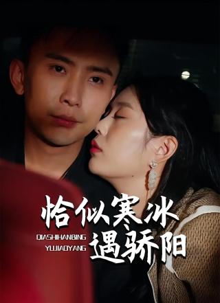 短剧恰似寒冰遇骄阳海报