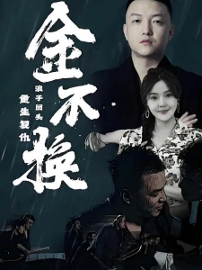 短剧金不换海报