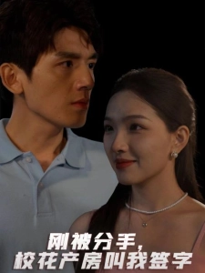 短剧刚被分手，校花产房叫我签字海报