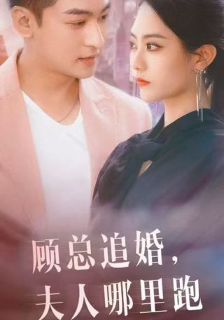 短剧顾总追婚，夫人哪里跑海报