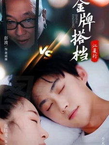 短剧江夏行金牌搭档海报