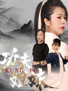 短剧功夫姐妹海报