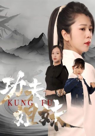 短剧功夫姐妹海报