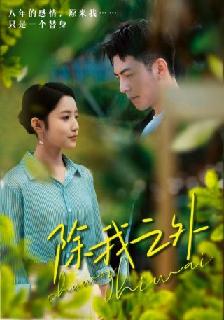 短剧除我之外海报