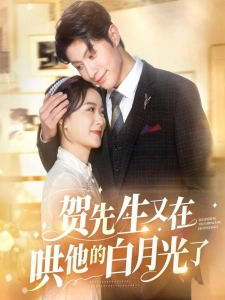 短剧贺先生又在哄他的白月光了海报