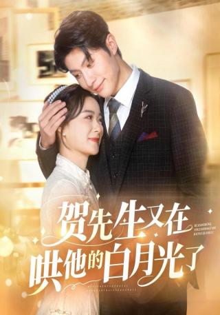 短剧贺先生又在哄他的白月光了海报
