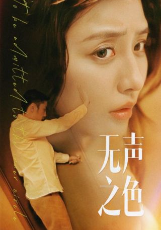 短剧无声之色海报