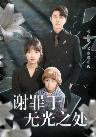 短剧谢罪于无光之处海报