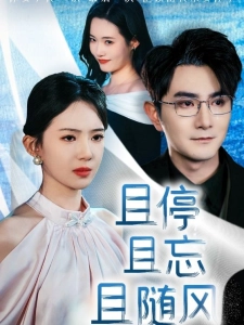 短剧且停且忘且随风海报