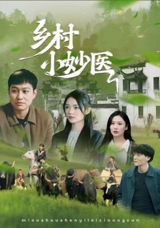 短剧乡村小妙医海报