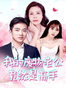 短剧我的废物老公竟然是高手海报