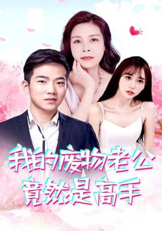 短剧我的废物老公竟然是高手海报