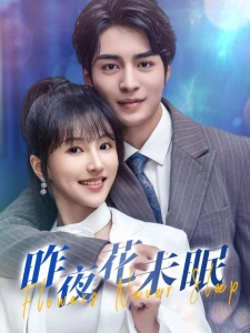 短剧昨夜花未眠海报