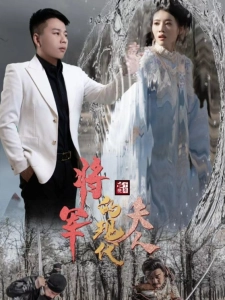 短剧将军的现代夫人海报