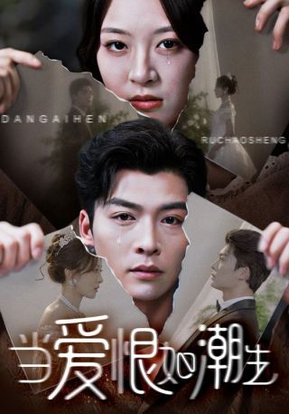 短剧当爱恨如潮生海报