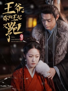 短剧王爷，你的王妃又跑了海报