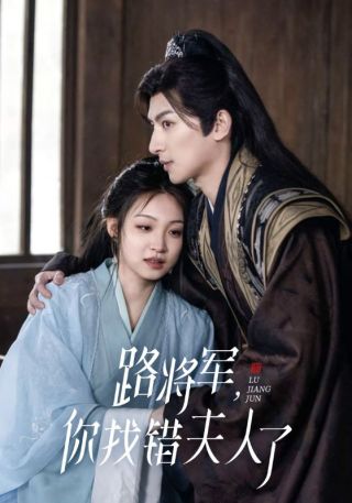 短剧路将军，你找错夫人了海报