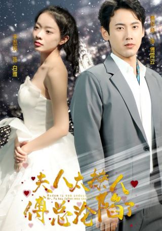 短剧夫人太撩人，傅总沦陷了海报