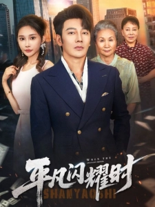 短剧平凡闪耀时海报