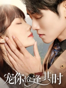 短剧宠你恰逢其时海报