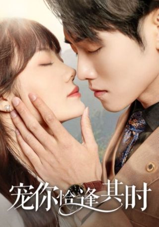 短剧宠你恰逢其时海报