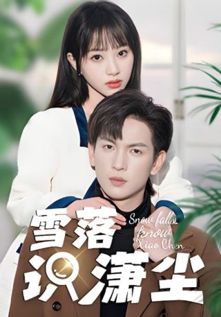 短剧雪落识潇尘海报