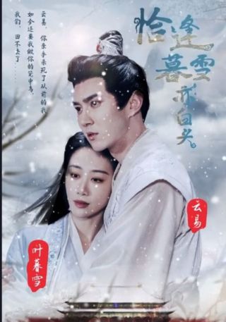 短剧恰逢暮雪亦白头海报